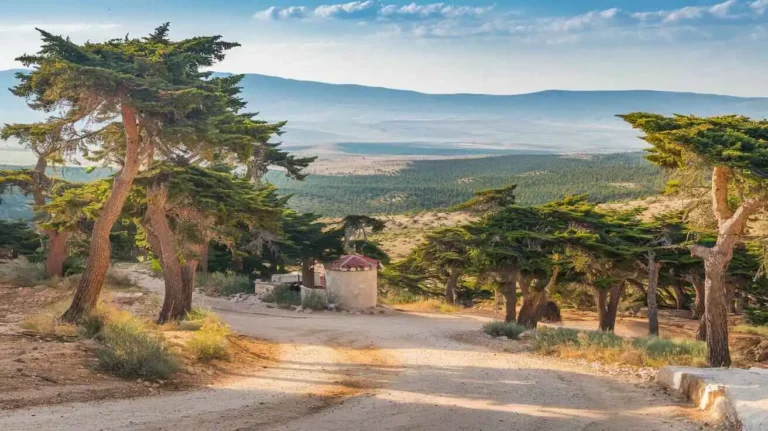 Ziarat: A Jewel in Balochistan